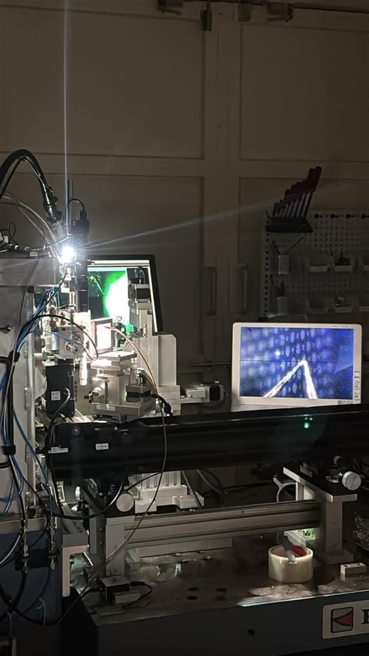 新圧電材料の時間分解Ｘ線吸収分光法による電子状態起源の探求